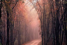 惊！2025冠中冠阵容出炉，丁俊晖竟成80后五虎唯.：狗子28