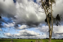 浓眉36+15+8小萨6犯离场 赛季横扫国王.:狗子28