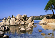 [球之夜]20250123 改破浪.：狗子28